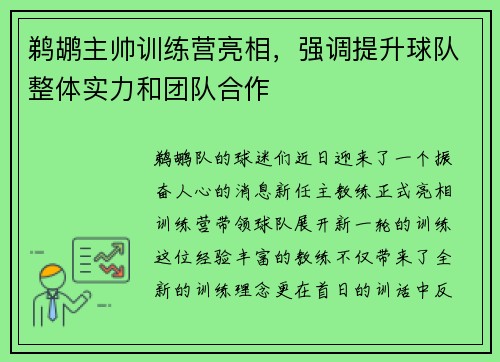 鹈鹕主帅训练营亮相，强调提升球队整体实力和团队合作